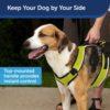 PetSafe Pet Harness - Image 9